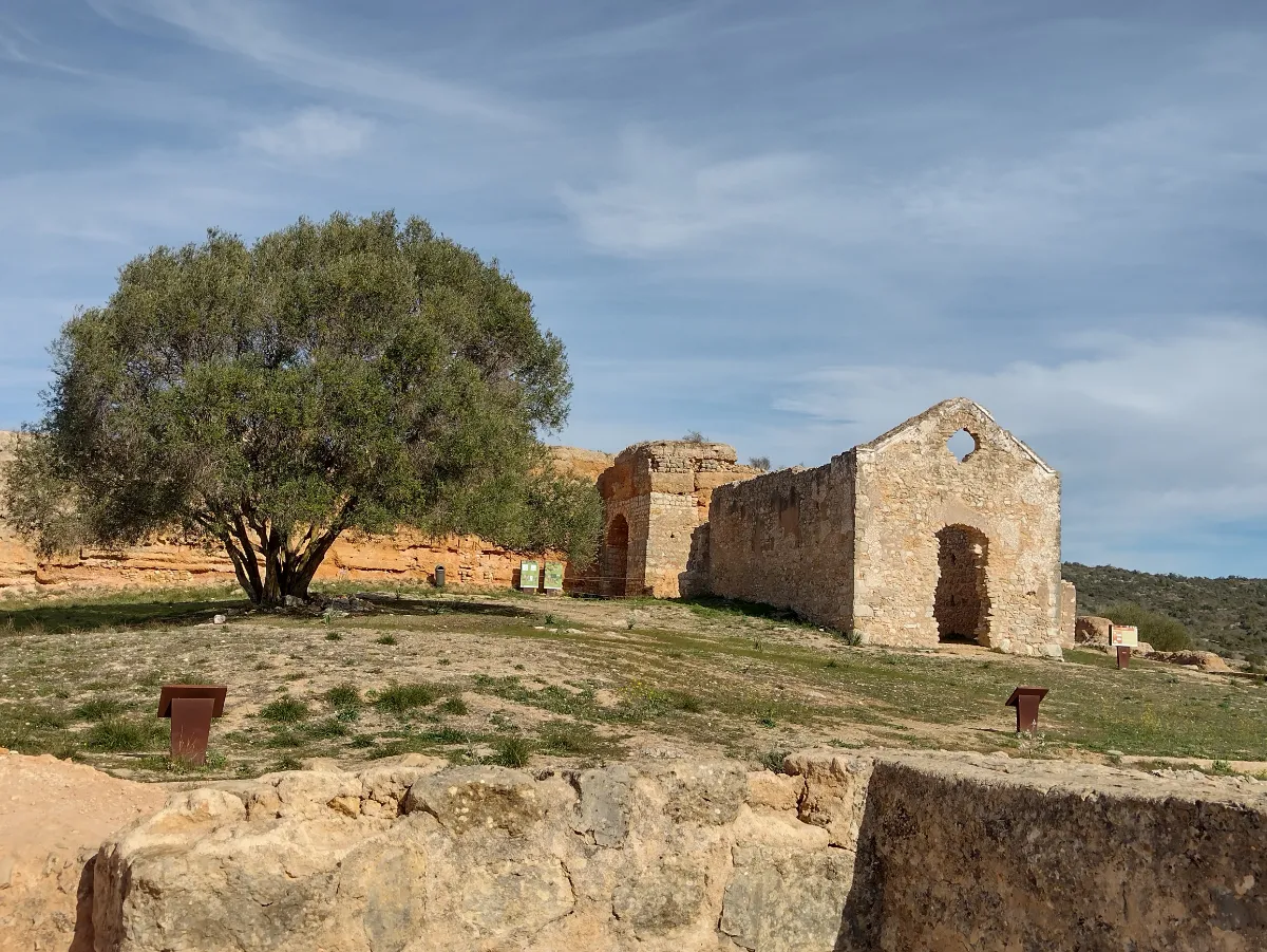 The rammed-earth tower gate of Paderne Castle