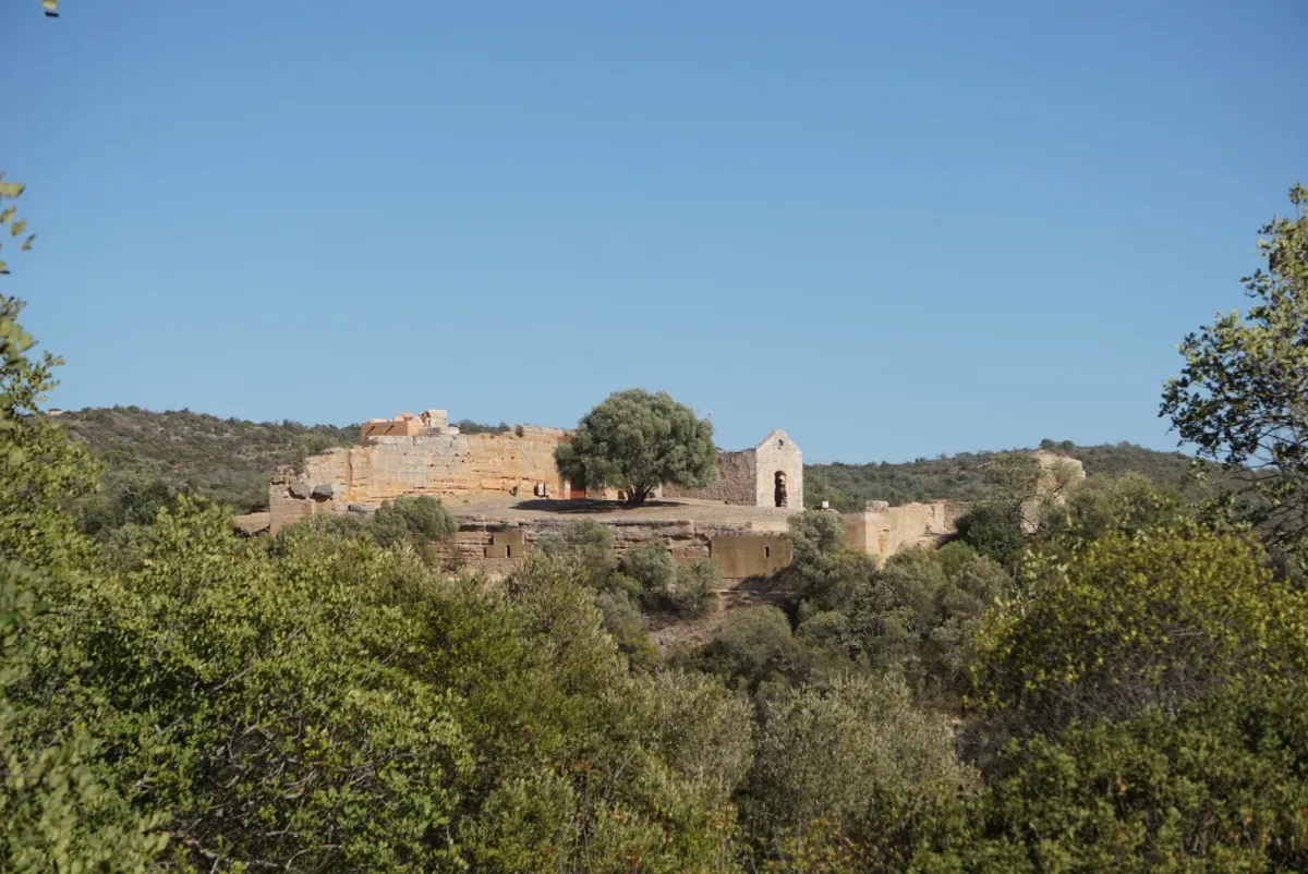 Olive and carob trees on the hillside below Paderne Castle