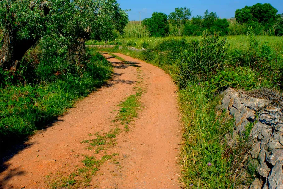 Rugged dirt trail in the Algarve's interior